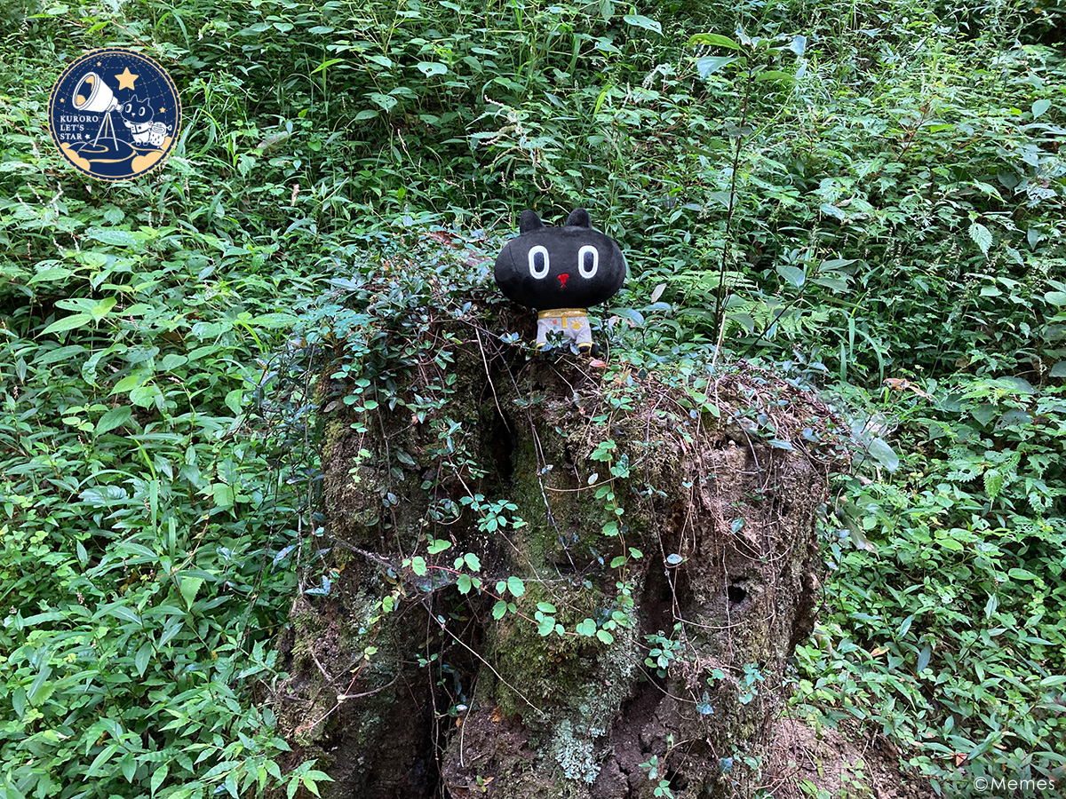 Kuroro Let's Star with 美星町》Chapter 3－新しいお友達と一緒に